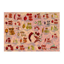 Fatalii's Splitted Chiles! posters