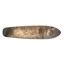 FatCat Board skateboards by daddix FatCat Board skateboards
