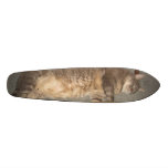 FatCat Board skateboards