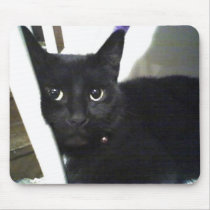 fatcat molly mousepads