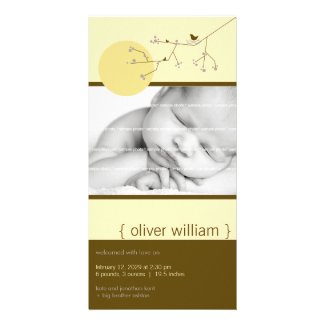 fatfatin Nesting Bird Family 4 Birth Announcement Picture Card