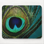 fatfatin Peacock Feather Photo Mousepad