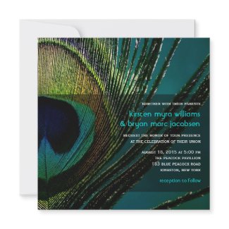 fatfatin Photography Peacock Feather Wedding invitation