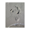 Father & Child Footprints in the Sand postcards