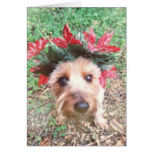 Father Christmas Card