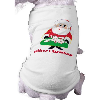Father Christmas pet clothing