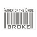 Father of the Bride Broke posters