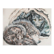 Father Wolf Post Card