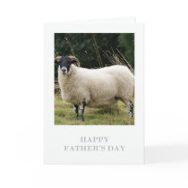 Father's Day Card - Sheep