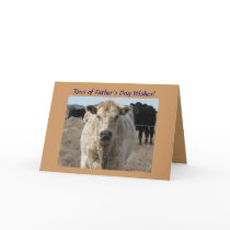 Father's Day - Cute White Cow - Ranch or Farm Greeting Card