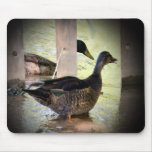 Fathers Day Gift Ideas-1 Mouse Pads Fathers Day Gift Ideas-1 Mouse Pads