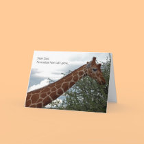 Father's Day Giraffe Card