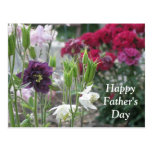 FATHER'S DAY PURPLE AND WHITE COLUMBINE postcard