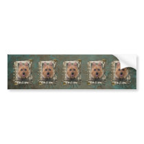 Fathers Day - Stone Paws - Australian Terrier Bumper Stickers