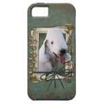 Fathers Day - Stone Paws - Bedlington Terrier iPhone 5 Covers