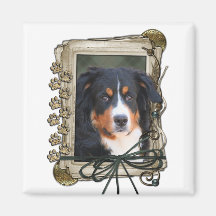 Fathers Day - Stone Paws - Bernese Mountain Dog Refrigerator Magnet