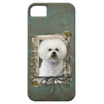 Fathers Day - Stone Paws - Bichon Frise iPhone 5 Cover