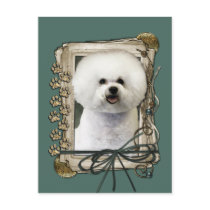 Fathers Day - Stone Paws - Bichon Frise Post Cards