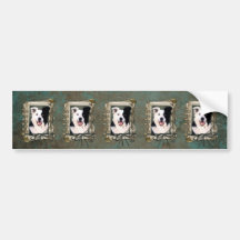 Fathers Day - Stone Paws - Border Collie Bumper Sticker