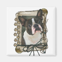 Fathers Day - Stone Paws - Boston Terrier Refrigerator Magnet