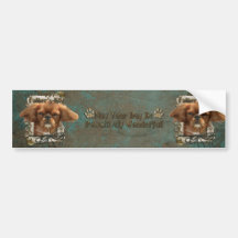 Fathers Day - Stone Paws - Cavalier King Charles Bumper Stickers