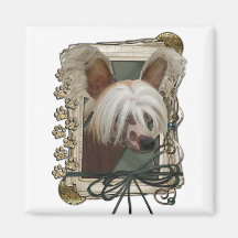 Fathers Day - Stone Paws - Chinese Crested - Jaspe Magnet