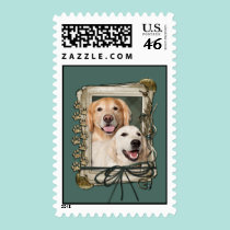 Fathers Day - Stone Paws Goldens Corona and Tebow stamps