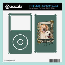 Fathers Day - Stone Paws Goldens Corona and Tebow skins