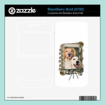Fathers Day - Stone Paws Goldens Corona and Tebow skins
