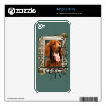 Fathers Day - Stone Paws - Irish Setter Skin For iPhone 4