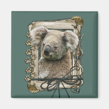 Fathers Day - Stone Paws - Koala Refrigerator Magnet