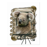 Fathers Day - Stone Paws - Koala Post Card
