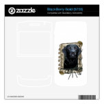 Fathers Day - Stone Paws - Labrador - Black BlackBerry Bold Decal