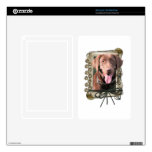 Fathers Day - Stone Paws - Labrador - Chocolate Kindle Fire Skin