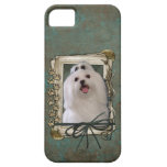 Fathers Day - Stone Paws - Maltese iPhone 5 Cover