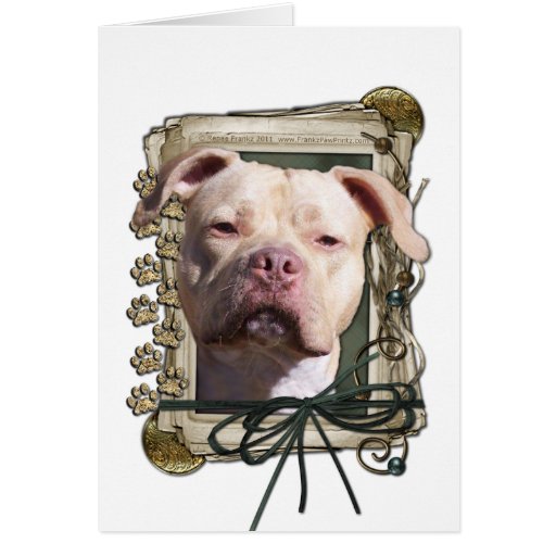 Fathers Day - Stone Paws - Pitbull - Jersey Girl Greeting Card
