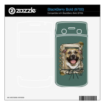 Fathers Day - Stone Paws - Pitbull - Tigger BlackBerry Skin