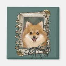 Fathers Day - Stone Paws - Pomeranian Fridge Magnets