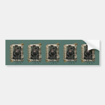 Fathers Day - Stone Paws - Pug - Ruffy Bumper Sticker