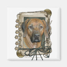 Fathers Day - Stone Paws - Rhodesian Ridgeback Refrigerator Magnets