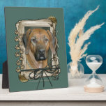 Fathers Day - Stone Paws - Rhodesian Ridgeback Plaques