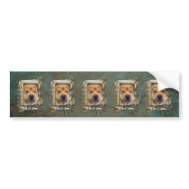 Fathers Day - Stone Paws - Shar Pei Bumper Stickers