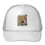 Fathers Day - Stone Paws - Shar Pei Mesh Hat