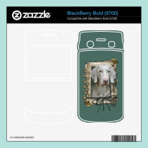 Fathers Day - Stone Paws - Weimaraner skins