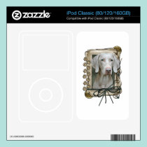 Fathers Day - Stone Paws - Weimaraner skins