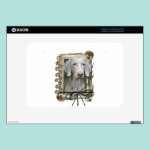 Fathers Day - Stone Paws - Weimaraner skins