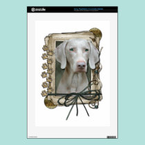 Fathers Day - Stone Paws - Weimaraner skins