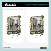 Fathers Day - Stone Paws - Weimaraner skins