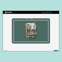 Fathers Day - Stone Paws - Weimaraner skins