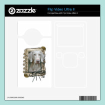 Fathers Day - Stone Paws - Weimaraner skins